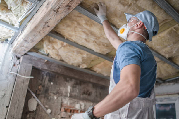 Best Spray Foam Insulation  in Pine Mountain Clu, CA